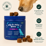 MILO – Soutien Articulaire Chien