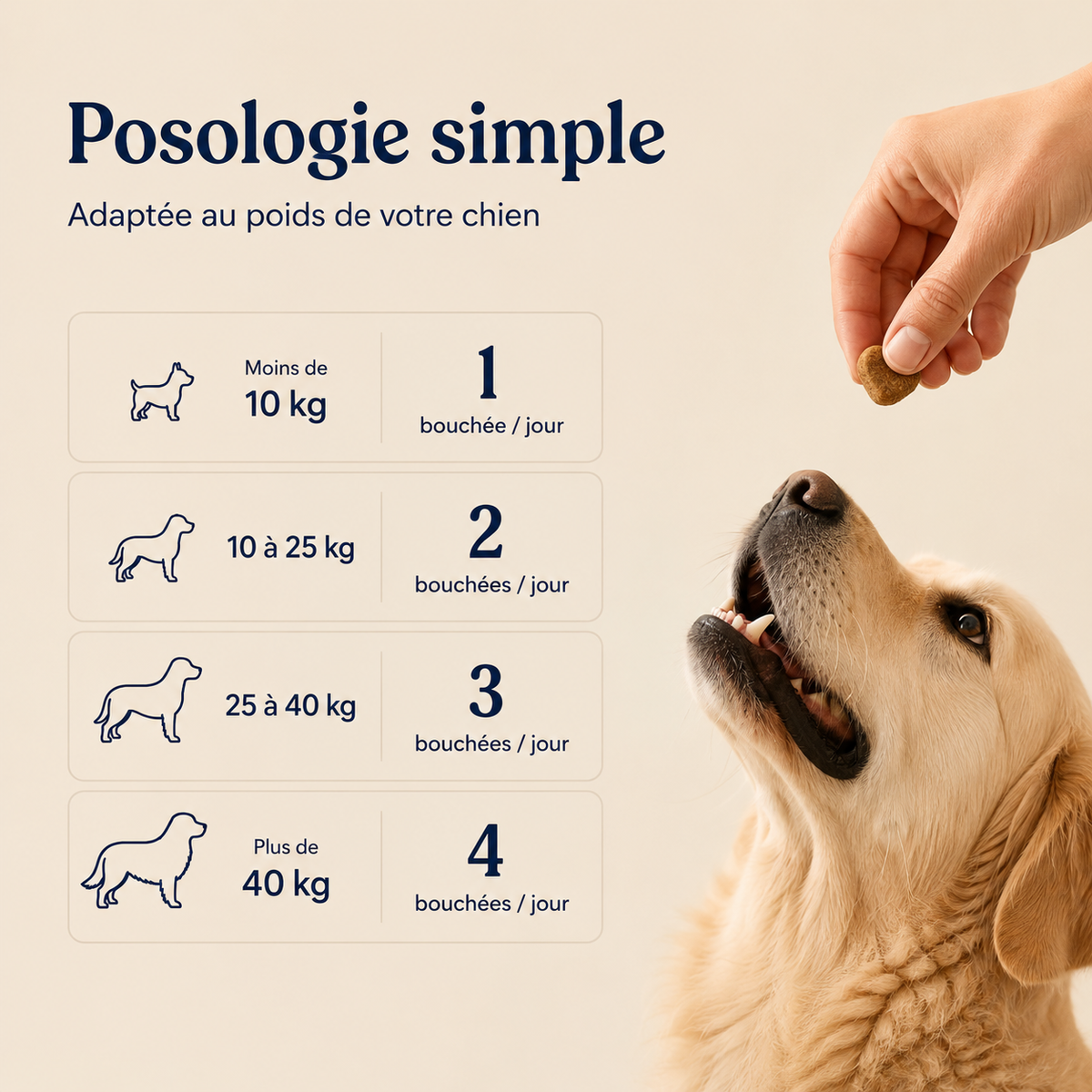 MILO — Mobilité
